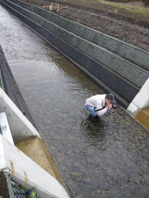 2010-3-26 古新田川(鈴木)