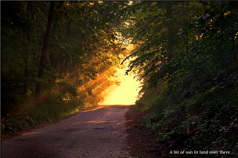 sunlight-166733_1280