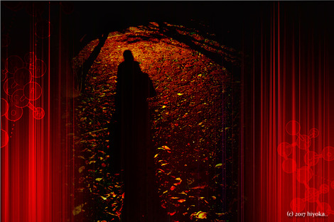 curtain