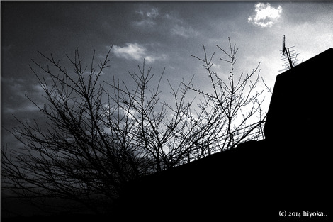 wintersky