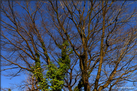 P1060893