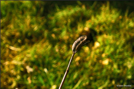 P1080836