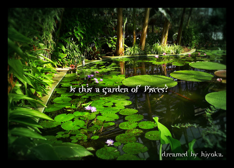 gardenofpisces