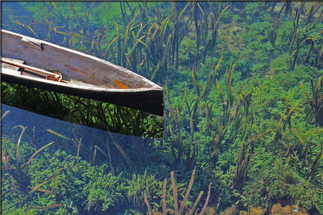 canoe-582659_1280
