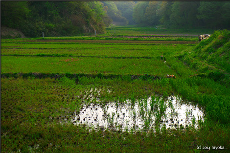 field