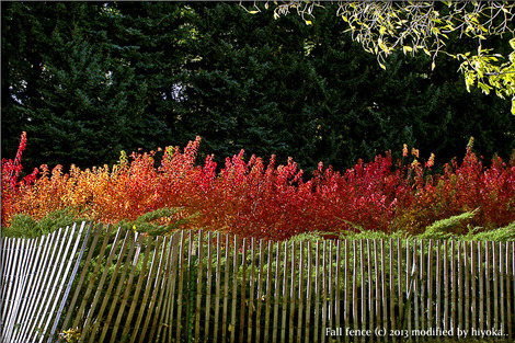 Fall-Fence