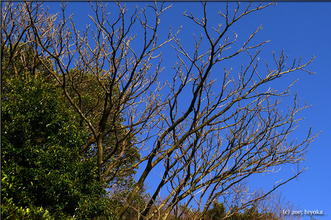 P1050766