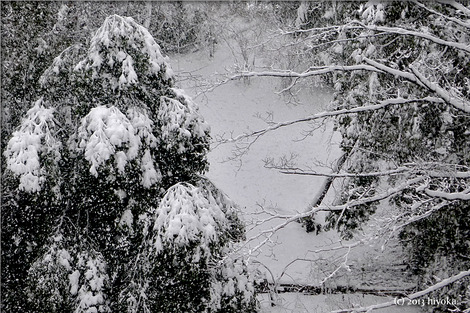snow