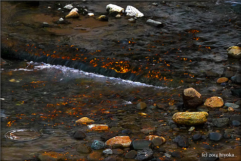 firewater