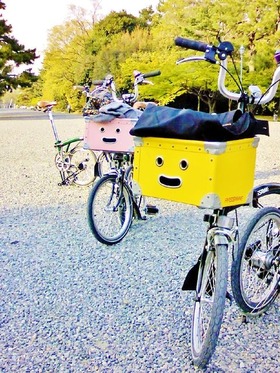 photo_2