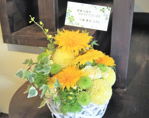 IMGP1677