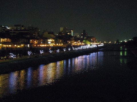 IMGP3484