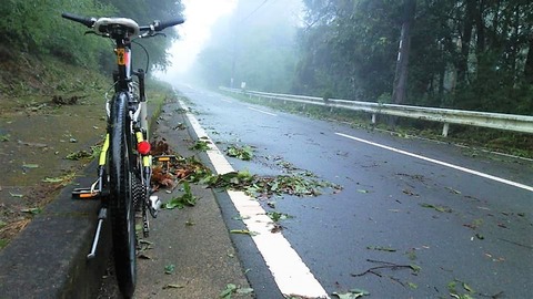 台風21号の翌朝