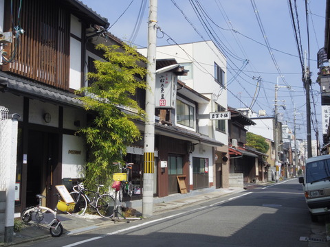 春の京都!:150317