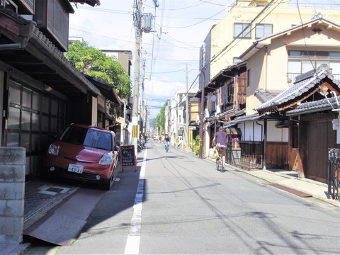 IMGP6739