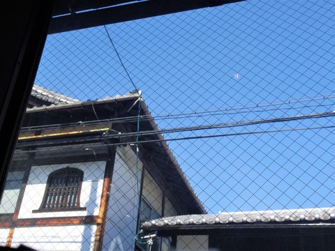 IMGP3178