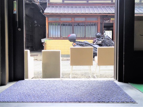 IMGP6004