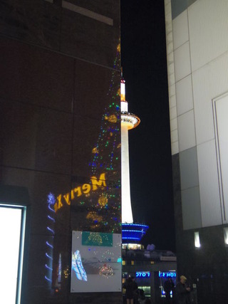 IMGP1536