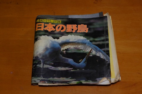 6 日本の野鳥 山渓カラー名鑑 Tori 鳥 爺やの落書き帳