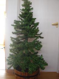 クリスマスツリー