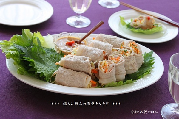 ブログ塩もみ野菜の肉巻きサラダ(ヒキ)