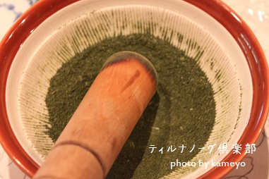 新茶