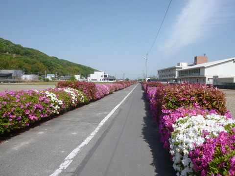 P1010602