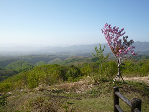 P1010600
