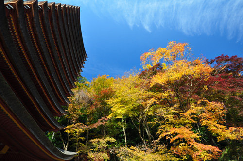 20111126談山神社4