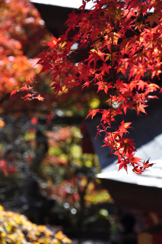 20111126談山神社6