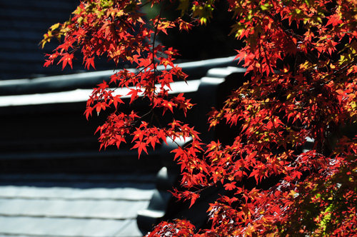 20111126談山神社5