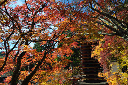 20111126談山神社3