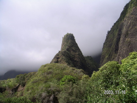 PICT0113