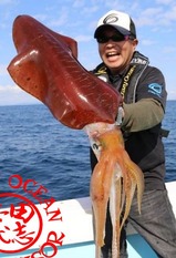 oceanwhiptrb