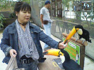 花鳥園05