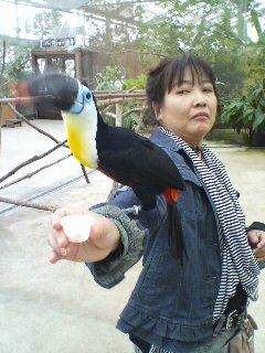 花鳥園03