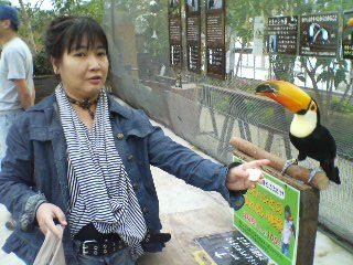 花鳥園04