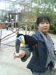 花鳥園01