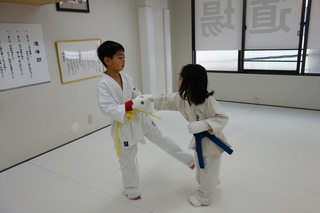DSC02991_R