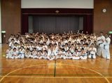 95abd606.jpg