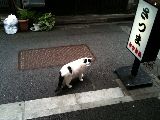 c6f88775.jpg