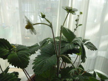 P1010463