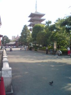 sensoji3
