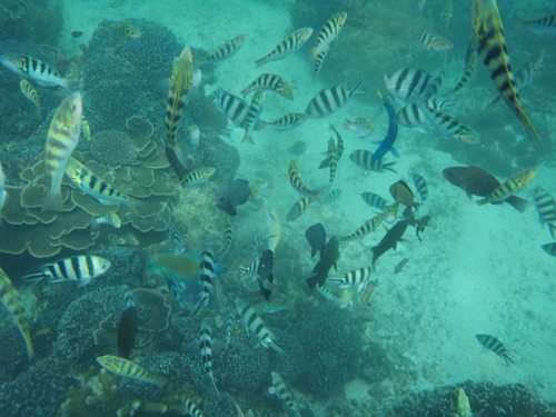 P7220082