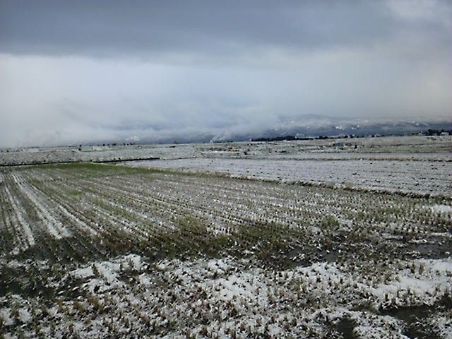 DVC00015