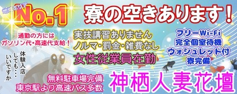 かみす