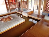 恋ぼたる温泉館 足湯3