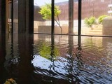 恋ぼたる温泉館 浴室女性浴室4-2