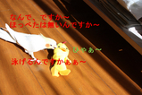 BlogPaint