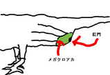BlogPaint
